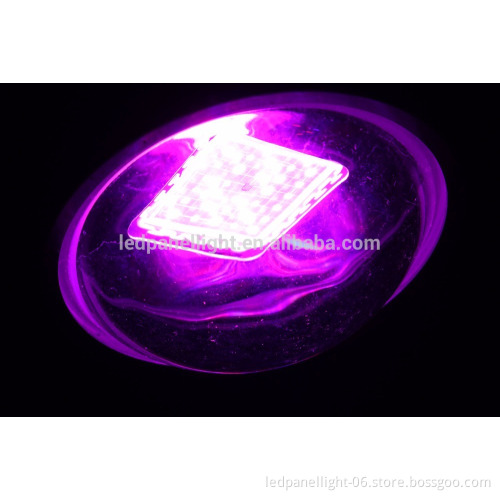 COB LED Grow light full spectrum plant light for hydroponic indoor plant Veg & Bloom black